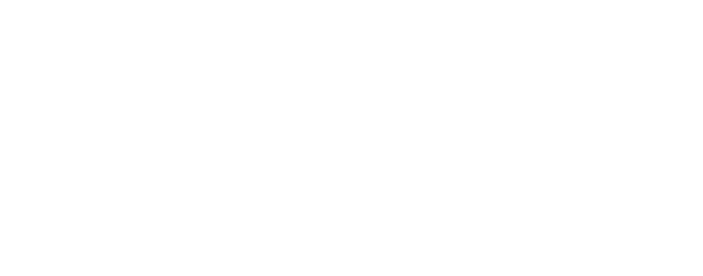 FIDL